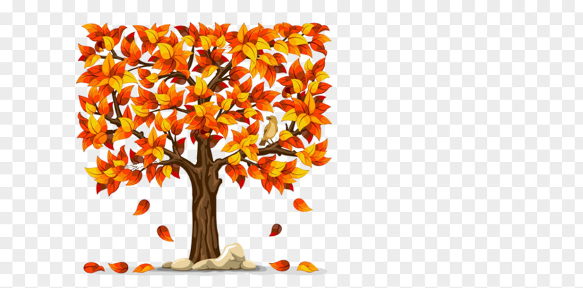 Belonging Ornament Autumn Leaf Color Fall Tree PNG