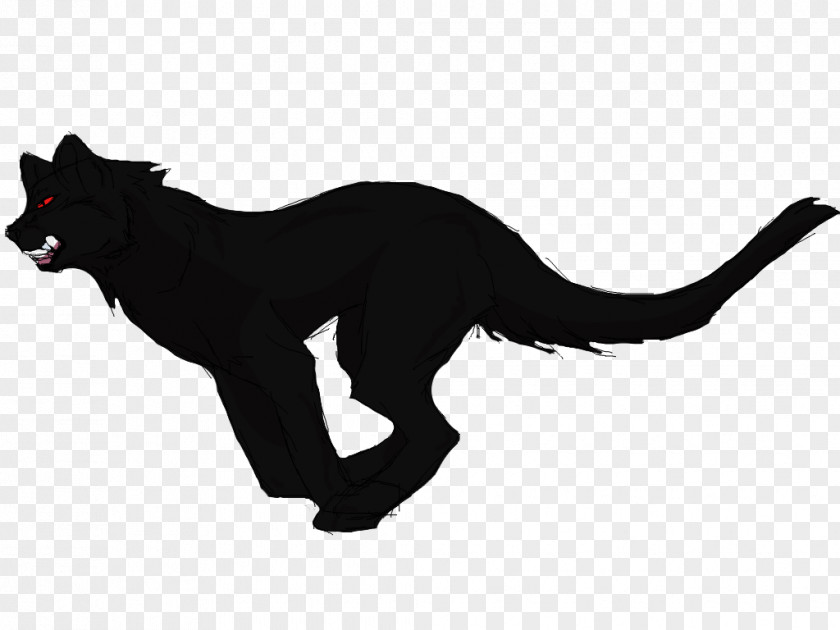 Black And White Shading Panther Cat Drawing Dog PNG
