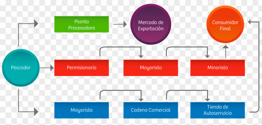 Fish Supply Network Distribution Agricultural Marketing PNG