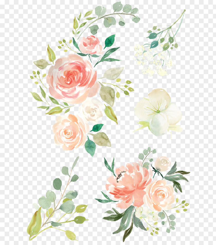 May Clipart Flowers Watercolor Painting Flower Rose Clip Art PNG