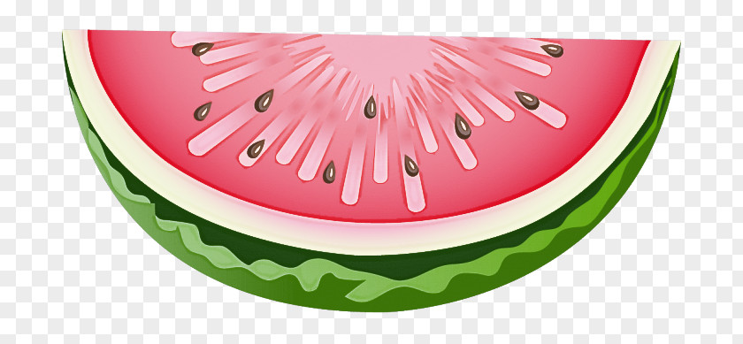 Soap Dish Cucumber Gourd And Melon Family Watermelon PNG