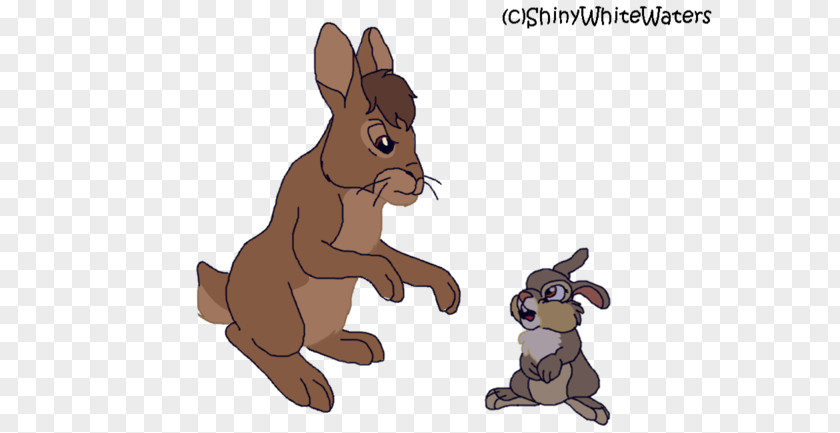 Excuse Me Dog Domestic Rabbit Hare Macropodidae Kangaroo PNG