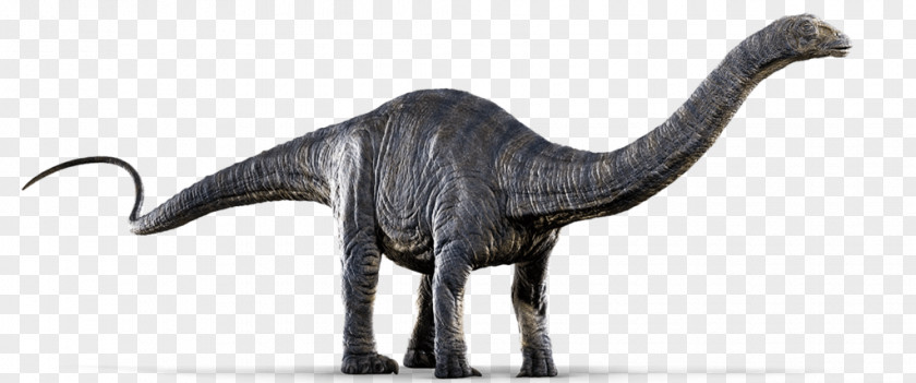 Jurassic World Image Apatosaurus Dinosaur Diplodocus Gallimimus Metriacanthosaurus PNG