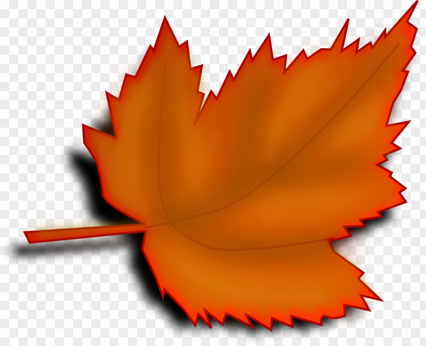 Leaf Autumn Color Tree Clip Art PNG