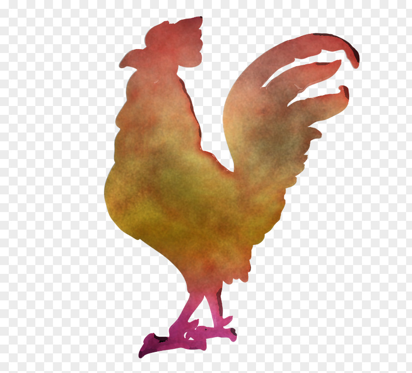 Chicken Rooster Bird Beak Wing PNG