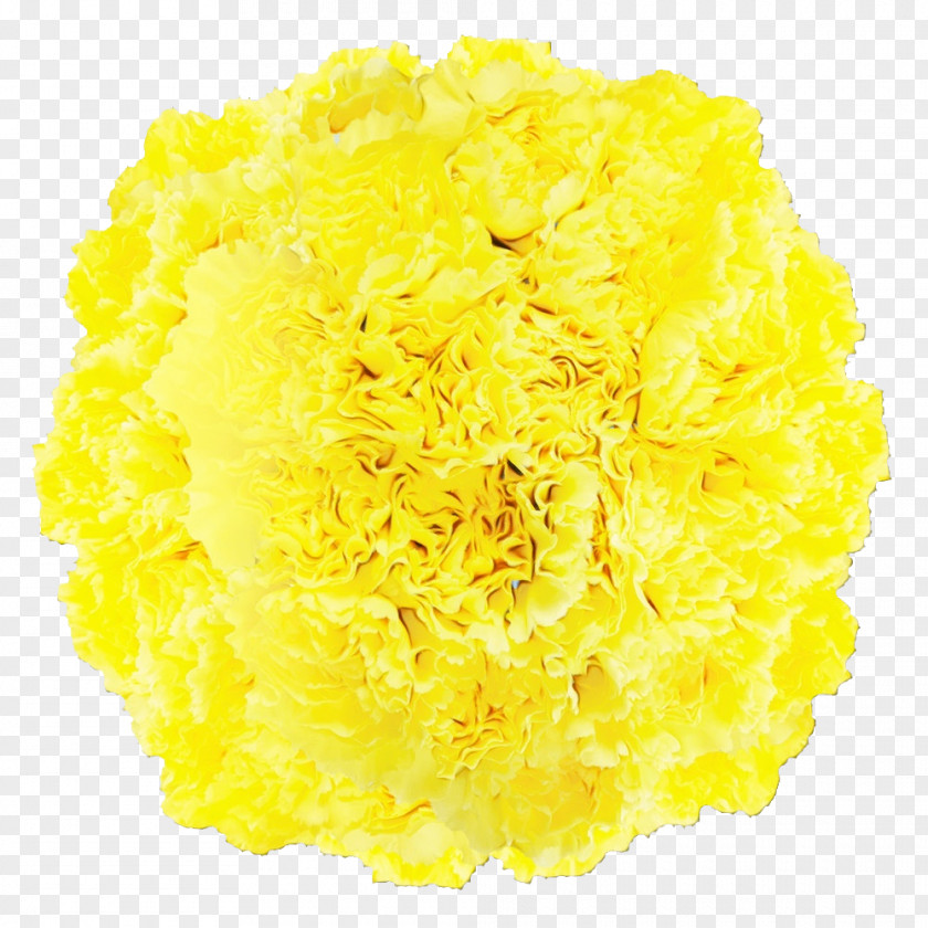 Cut Flowers Yellow Petal Flower PNG