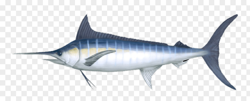 Deep Sea Creature Swordfish Marlin Fishing Shark PNG