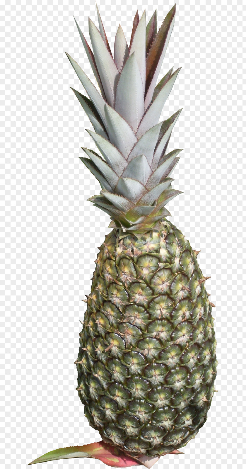 Pineapple Tropical Fruit Peel Thiamine PNG