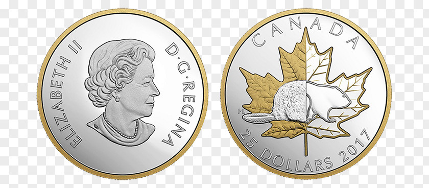 Canadian Dollar Coin Silver Three-dollar Piece United States PNG