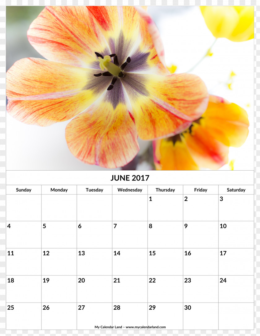 Flower Rattan Calendar Template Greeting & Note Cards Wish Birthday Happiness PNG