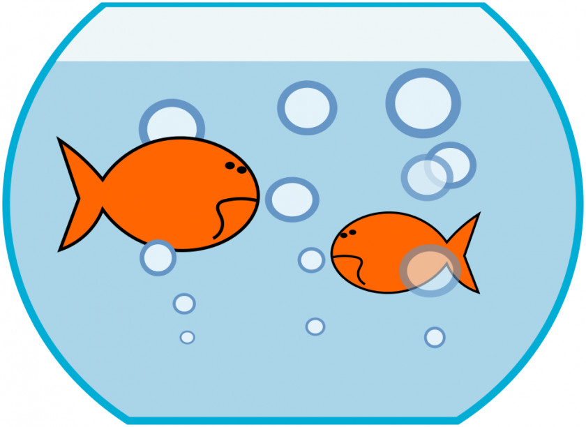 Goldfish Images Comet Oranda Aquarium Fish Clip Art PNG