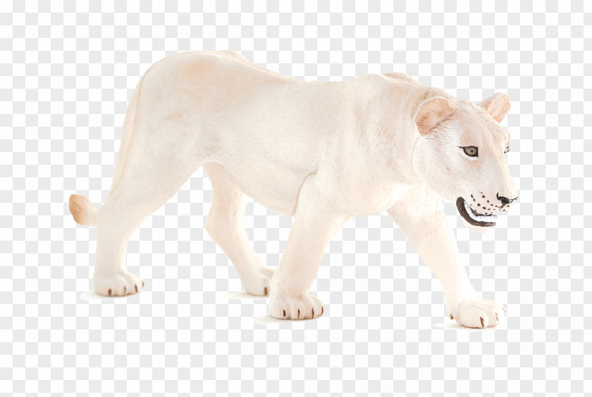 Lion White Amazon.com Hippopotamus Animal Planet PNG