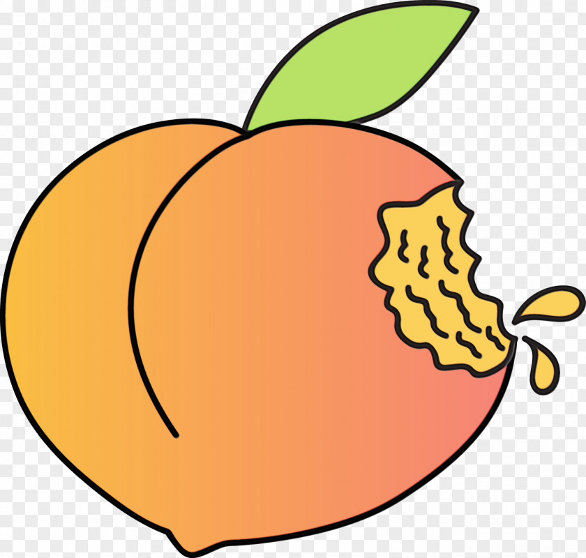 Clip Art Peach Transparency Image PNG