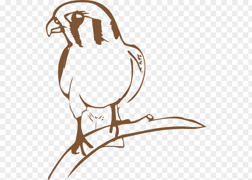 Falcon Cliparts Bird August Acrobat Clip Art PNG