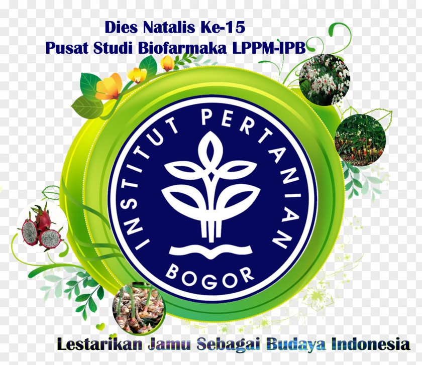 Kunyit Bogor Agricultural University Airlangga Agriculture Binus PNG