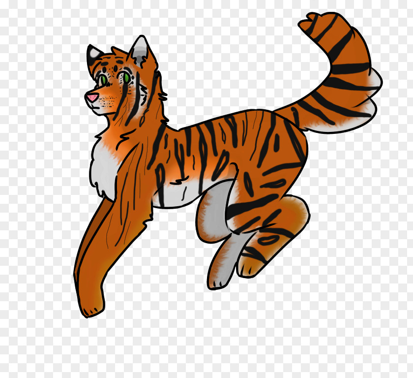 Tiger Whiskers Cat Felidae Red Fox PNG