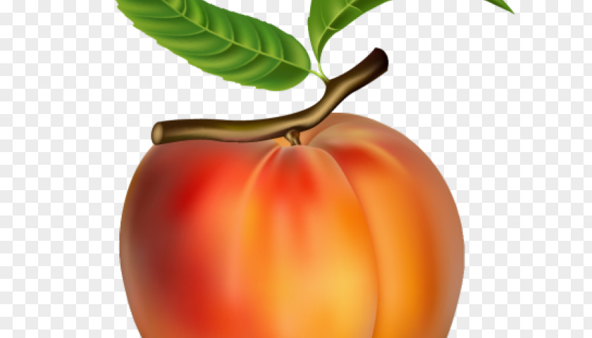 Vegetarian Food Superfood Apple Tree PNG