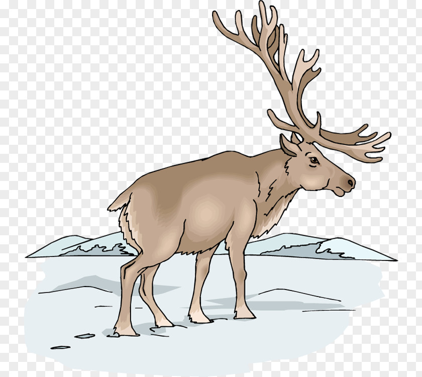 Winter Moose Cliparts Elk Deer Clip Art PNG