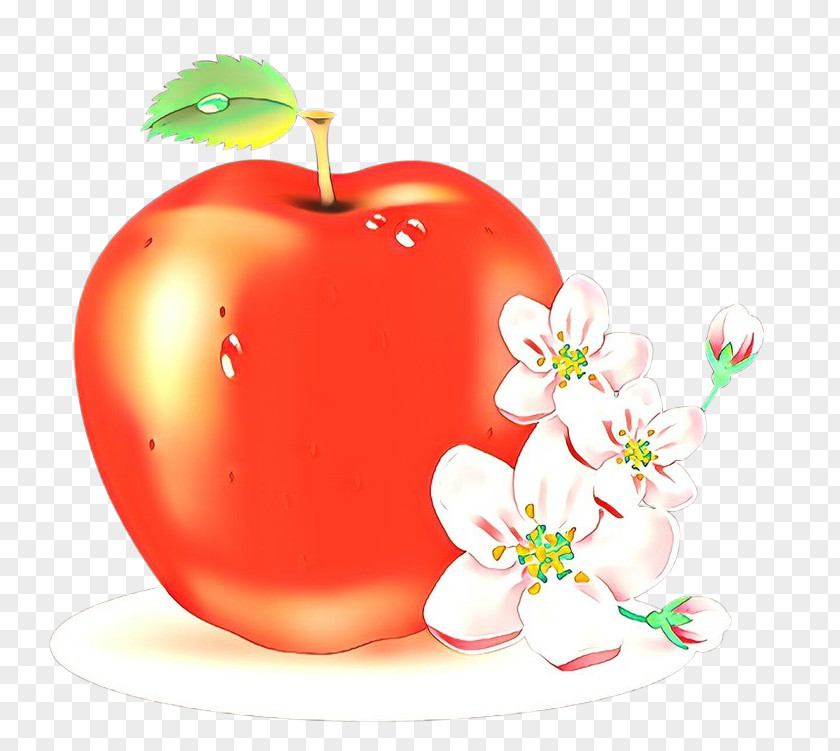 Apple Fruit Plant Food Malus PNG