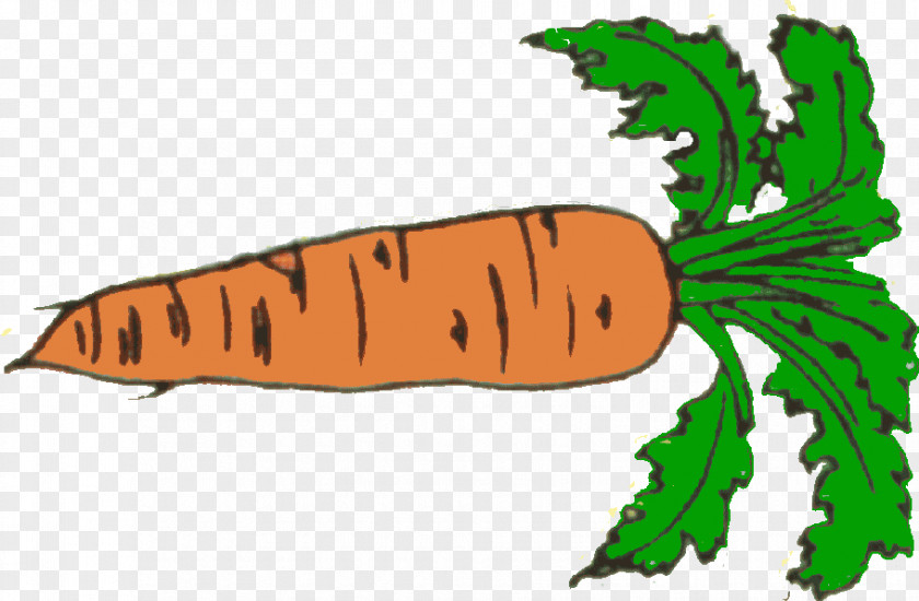 Carrot Download Clip Art PNG