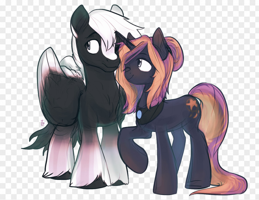 Horse Pony Illustration Drawing Art PNG