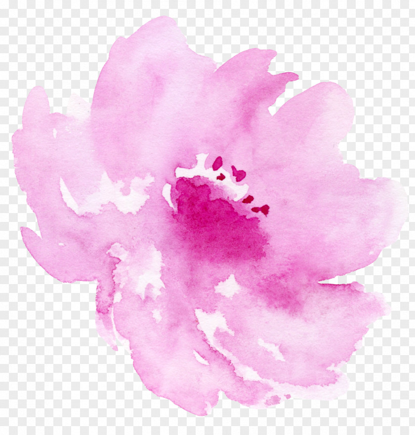 Ink Pink Floral Elements Watercolor: Flowers Watercolor Painting Illustration PNG