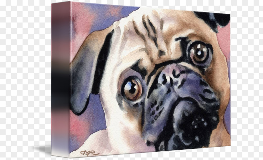 Puppy Pug Dog Breed Toy Gallery Wrap PNG