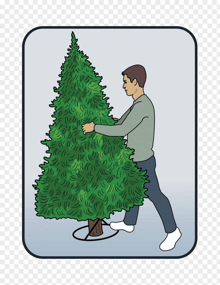 Christmas Tree Stands Day Ornament Fir PNG