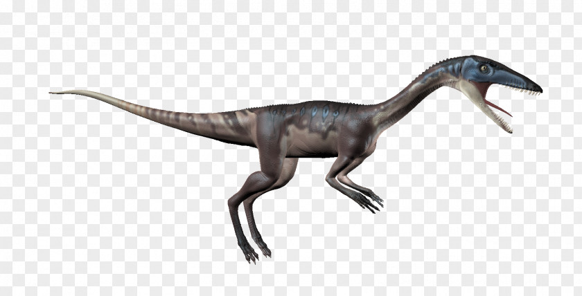 Coelophysis Stamp Velociraptor Tyrannosaurus Dinosaur Tallinn Animal PNG