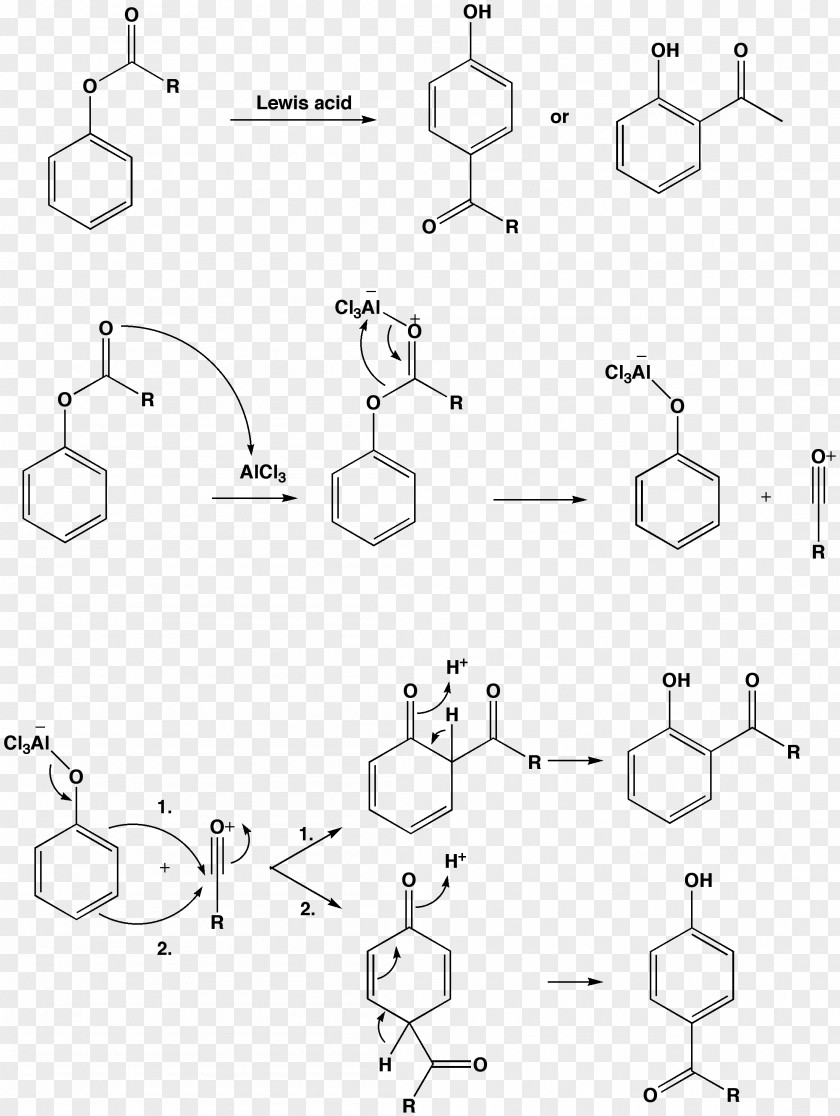Dendrimer Chemistry Vitamin Molecule Tocopherol PNG