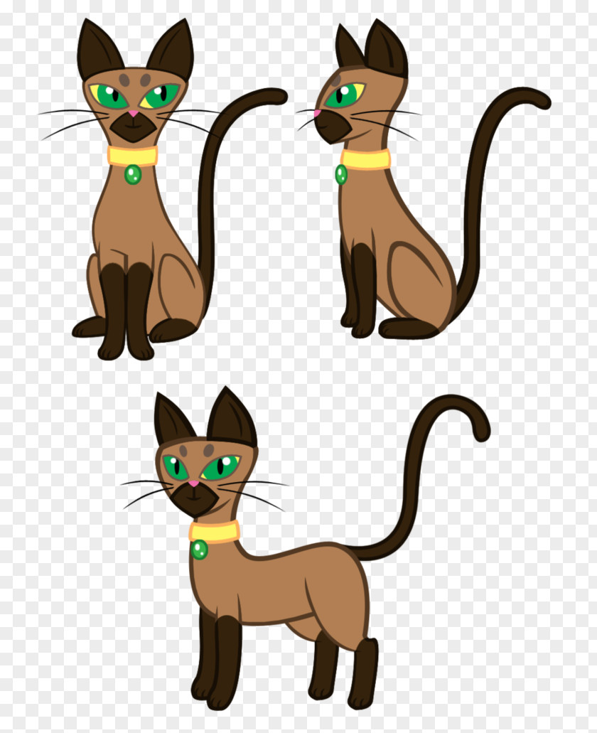 Kitten Whiskers Cat Drawing Art PNG
