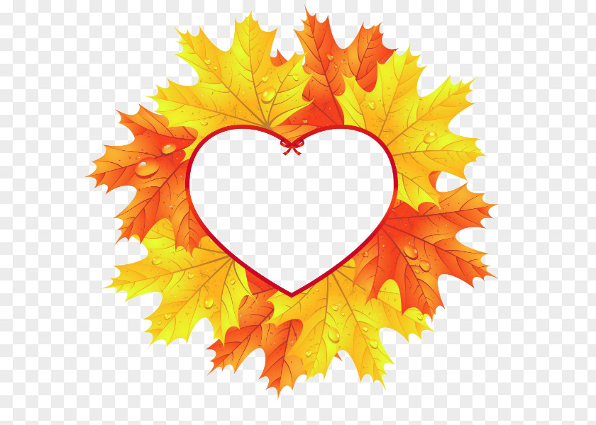 Leaf Autumn Color Heart Maple PNG