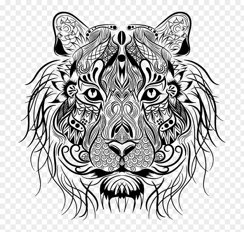 Tiger Coloring Book Lion Drawing PNG