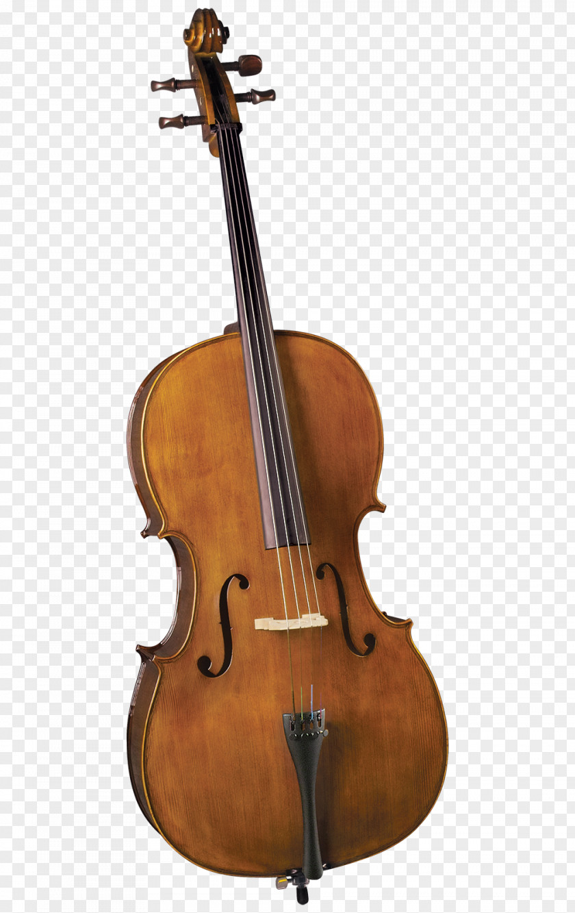 Violin Cello String Instruments Orchestra Viola PNG