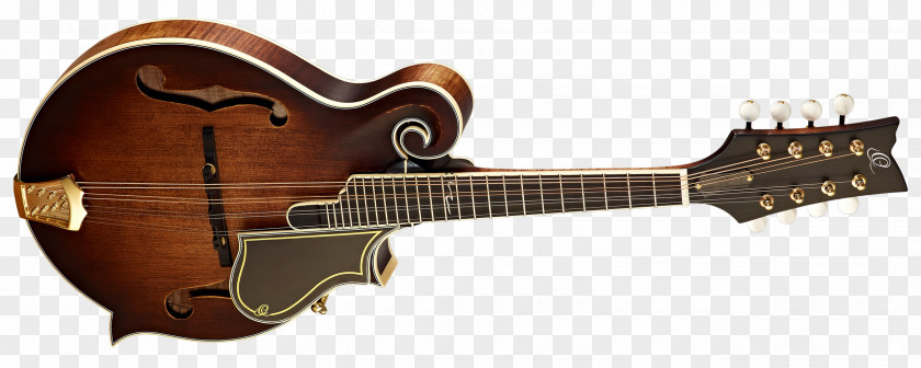 Amancio Ortega Musical Instruments Electric Guitar Mandolin String PNG