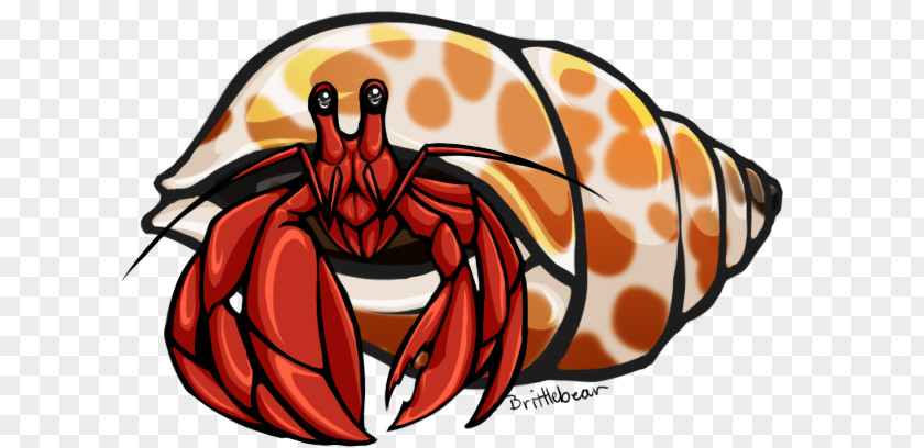 Crab Hermit Clip Art PNG