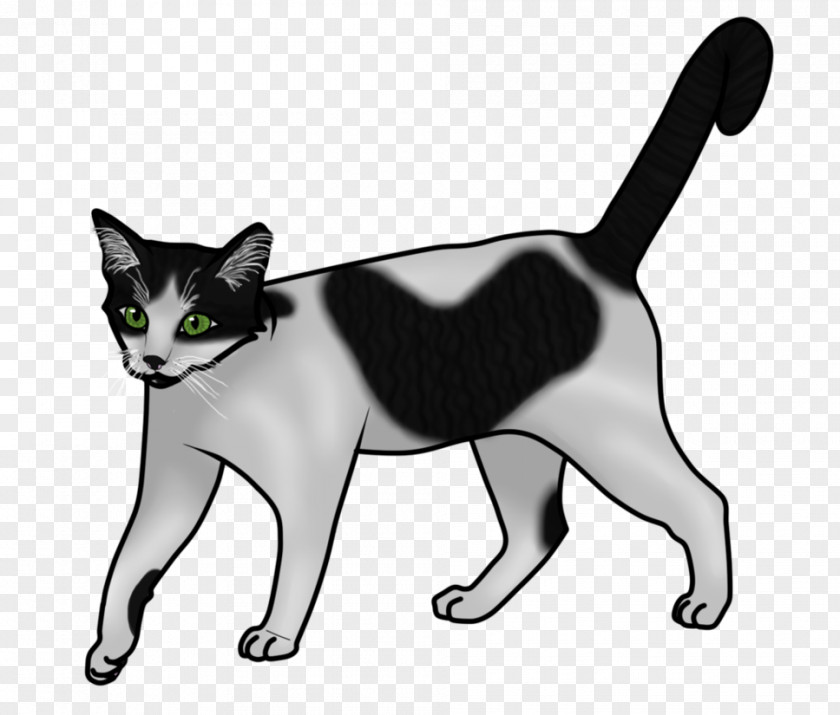 Domestic Shorthaired Cat Japanese Bobtail Manx Burmese American Wirehair Whiskers PNG