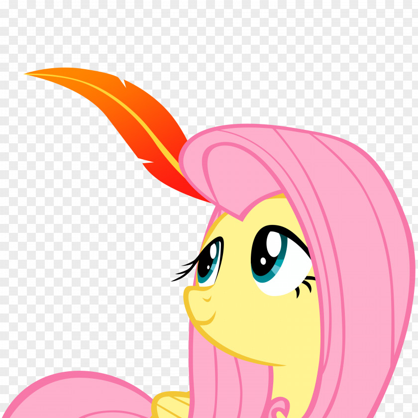 Season 1 Rainbow DashFeathers Background Fluttershy My Little Pony: Friendship Is Magic PNG