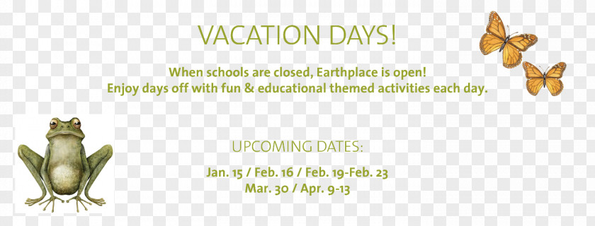 Earthplace Brujarella School Holiday Paper Email PNG