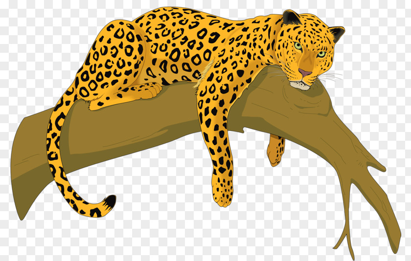 Leopard Cheetah Amur Felidae Clip Art PNG