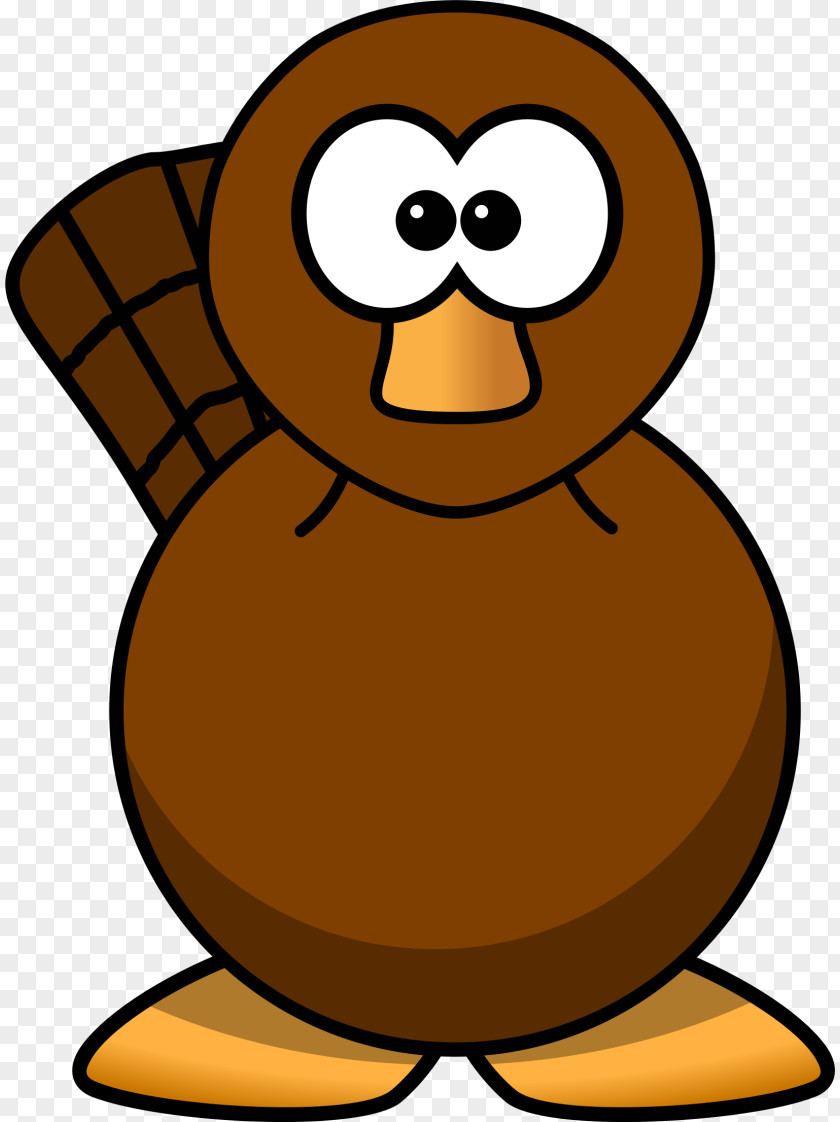 Platypus Face Cliparts Perry The Cartoon Clip Art PNG
