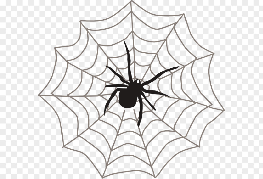 Spider Web Outline Spider-Man Itsy Bitsy Clip Art PNG