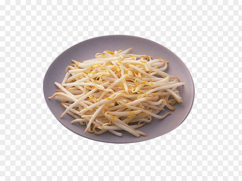 Bean Sprouts From Porcelain Plates Soybean Sprout Sprouting Mung PNG