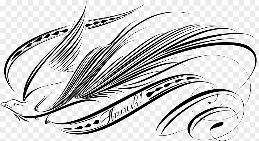 Flourish Bird Drawing Calligraphy PNG