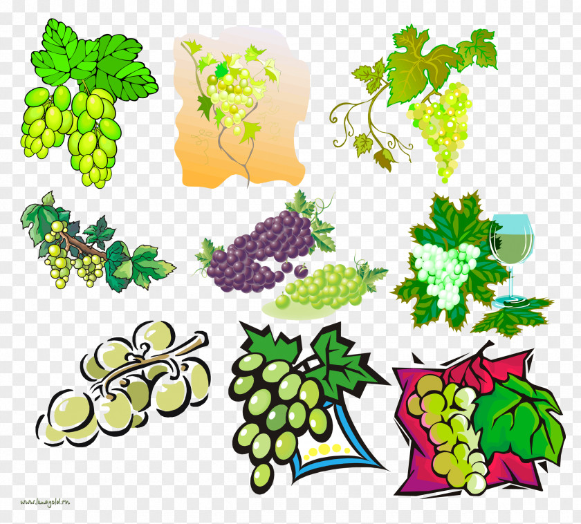 Grapes Border Grape Clip Art PNG