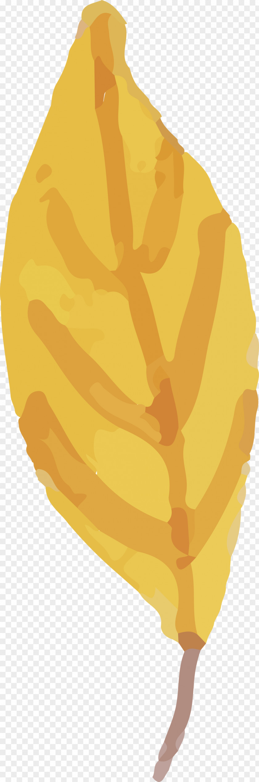 Leaf Yellow Commodity Fruit Biology PNG