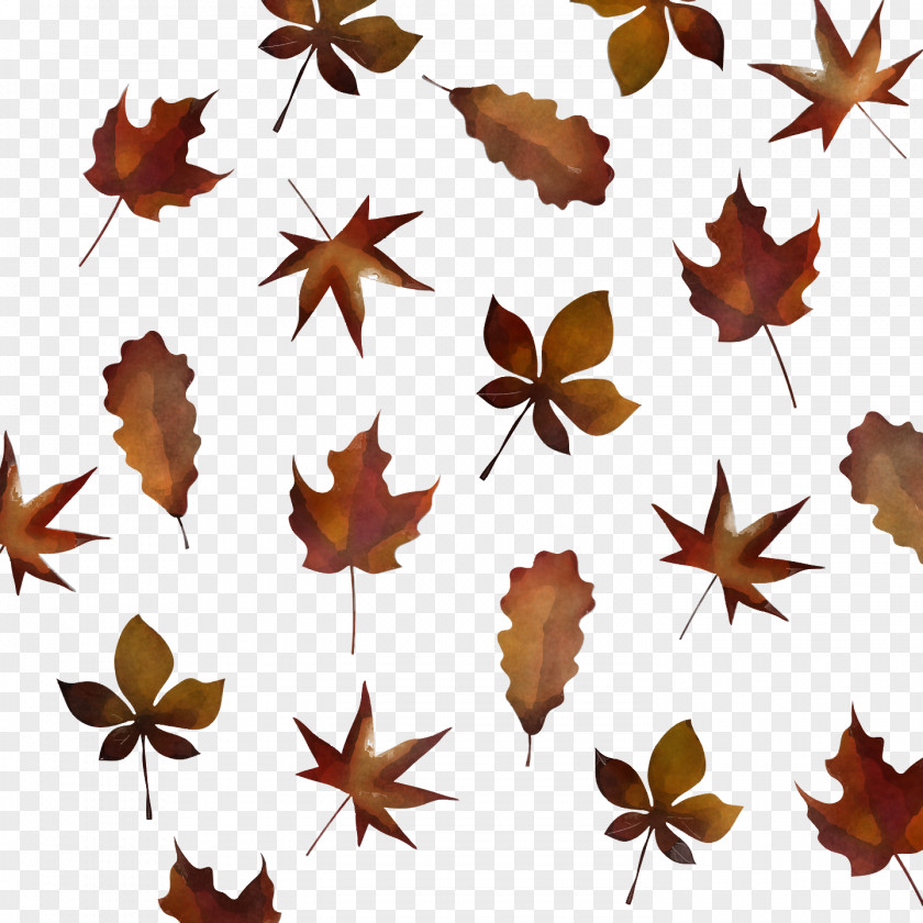 Maple Leaf PNG