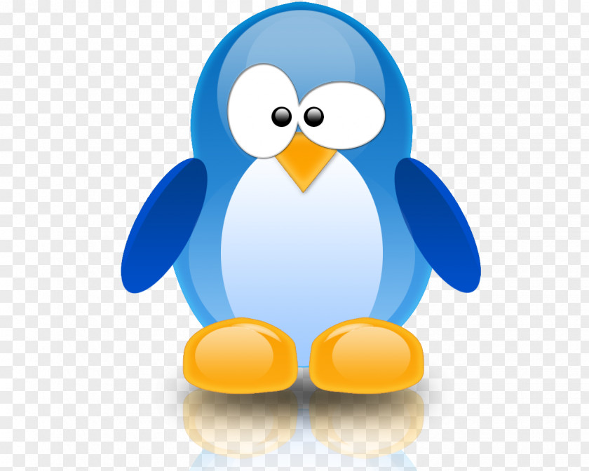 Penguins Web Development Computer Servers Server Nginx PNG