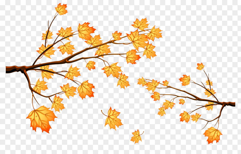Red Maple Leaf PNG