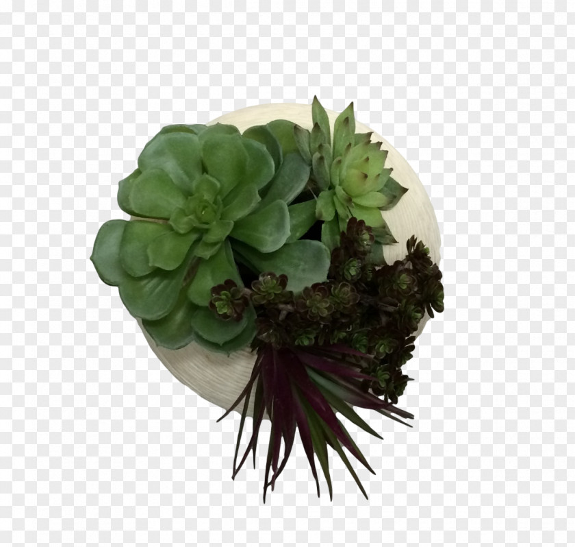 Succulents Cut Flowers Vase Flowerpot Teak Floral Design PNG